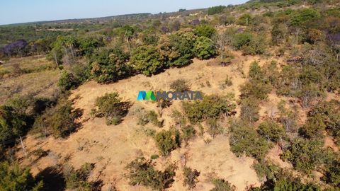 Foto Fazenda / Sítio / Chácara