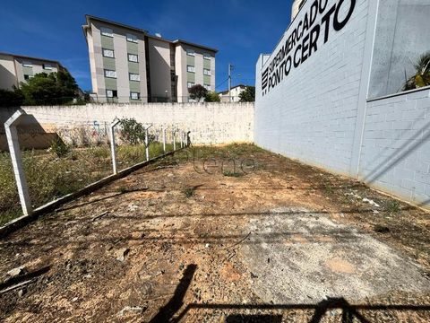Foto Terreno