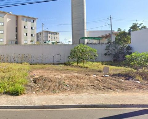 Foto Terreno
