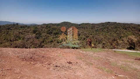 Foto Fazenda / Sítio / Chácara