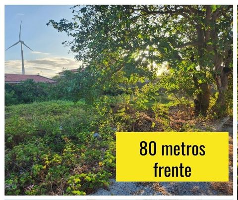 Foto Terreno