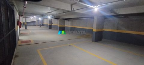 Foto Loja