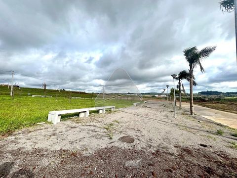 Foto Terreno