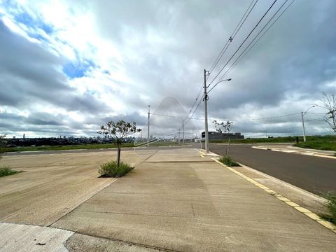 Foto Terreno