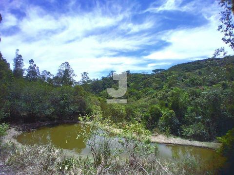 Foto Fazenda / Sítio / Chácara