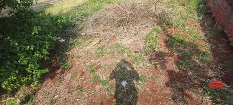 Foto Terreno