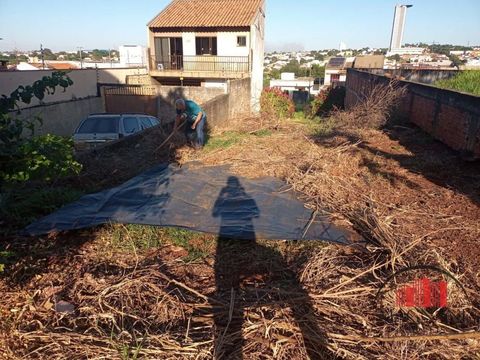 Foto Terreno