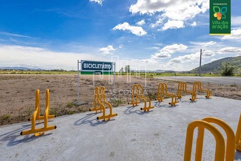 Foto Terreno
