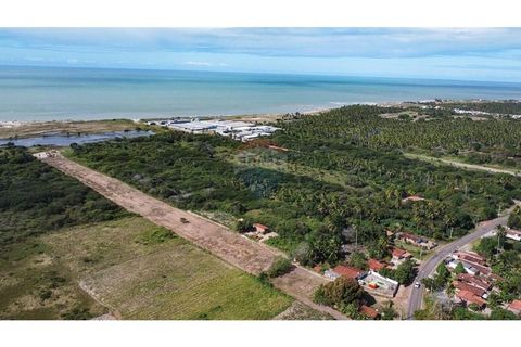 Foto Terreno