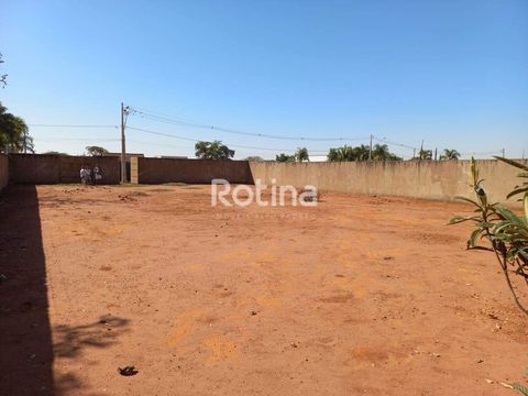 Foto Terreno