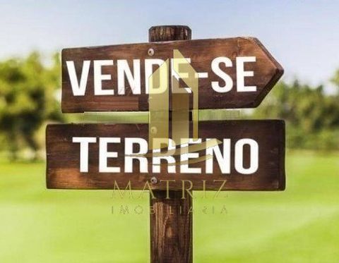 Foto Terreno