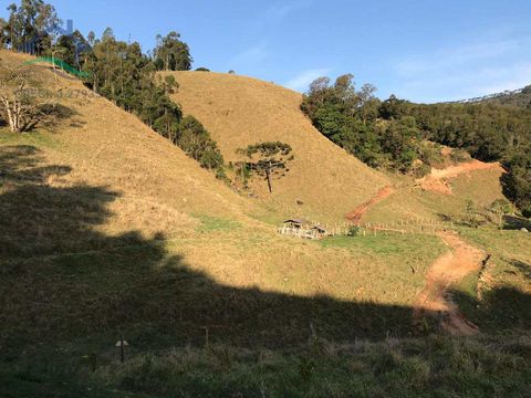 Foto Fazenda / Sítio / Chácara