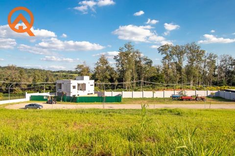Foto Terreno