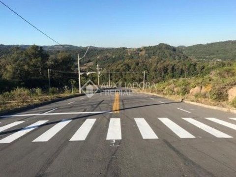Foto Terreno