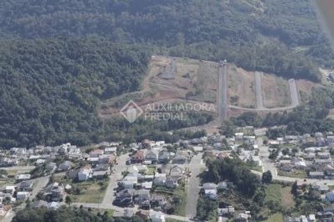 Foto Terreno