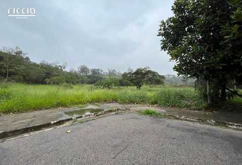 Foto Terreno