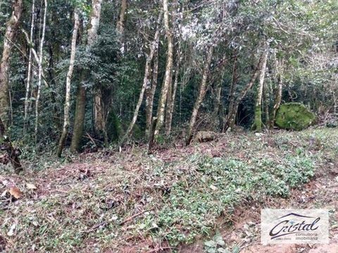Foto Terreno