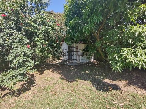 Foto Fazenda / Sítio / Chácara