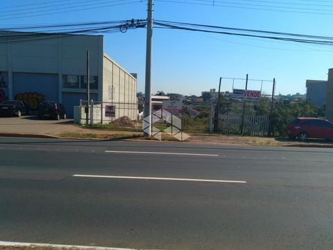 Foto Terreno