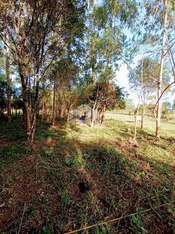 Foto Fazenda / Sítio / Chácara