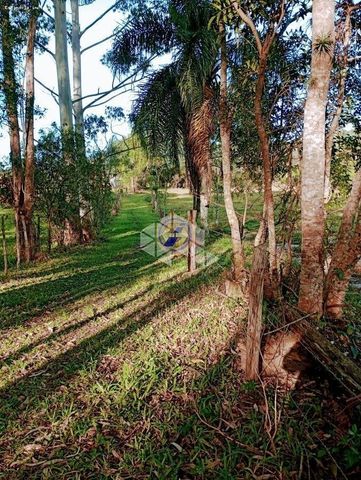 Foto Fazenda / Sítio / Chácara