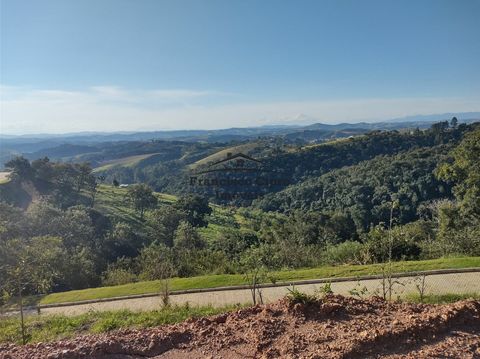 Foto Terreno