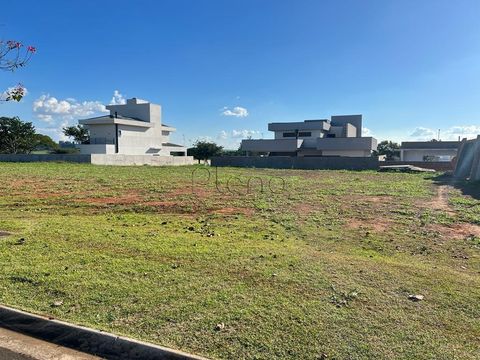Foto Terreno