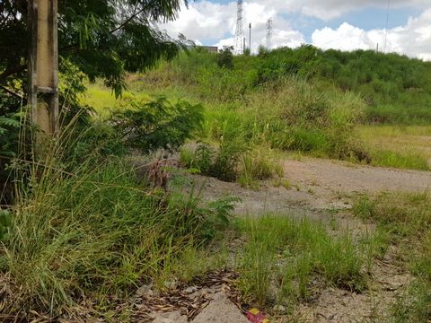 Foto Terreno