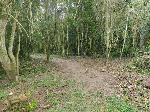 Foto Terreno