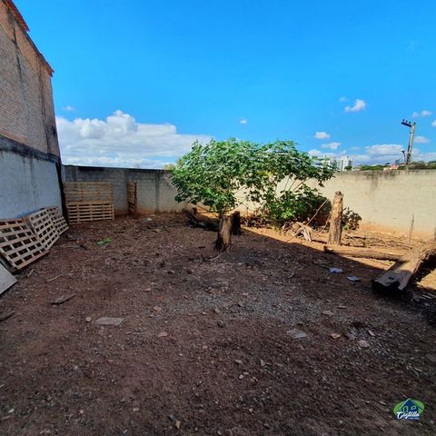 Foto Terreno