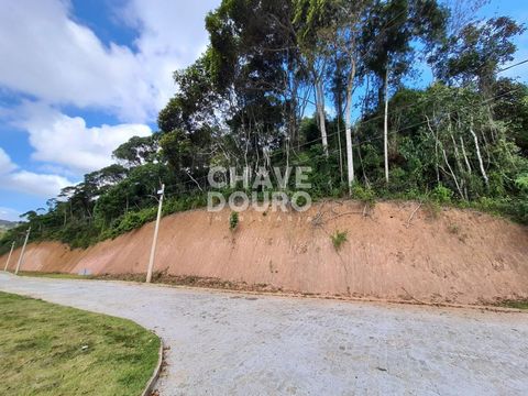 Foto Terreno