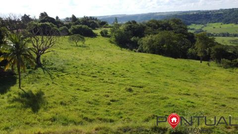 Foto Terreno