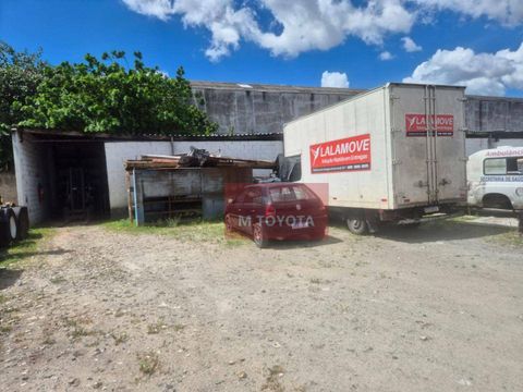 Foto Sala / Conjunto Comercial