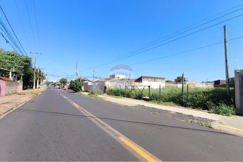 Foto Terreno