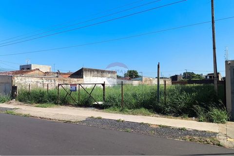 Foto Terreno