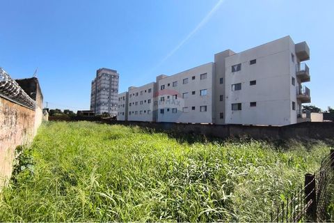 Foto Terreno