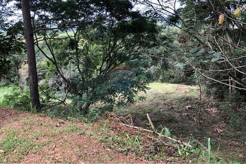 Foto Terreno