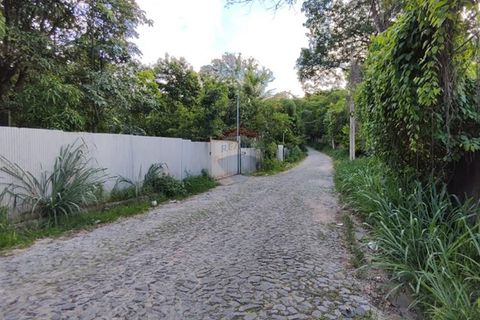 Foto Fazenda / Sítio / Chácara