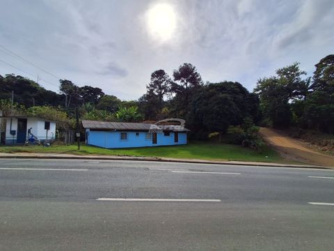Foto Terreno