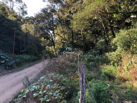 Foto Fazenda / Sítio / Chácara