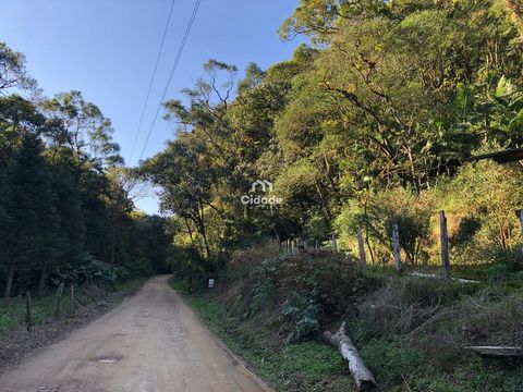 Foto Fazenda / Sítio / Chácara