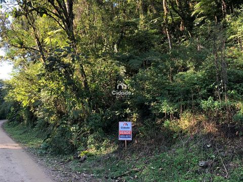 Foto Fazenda / Sítio / Chácara
