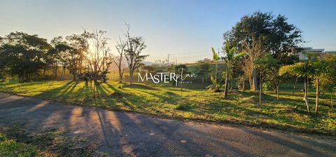 Foto Terreno