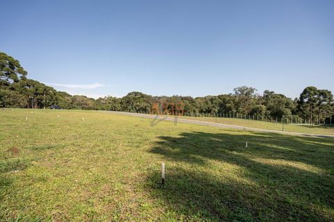 Foto Terreno