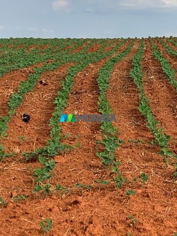 Foto Fazenda / Sítio / Chácara