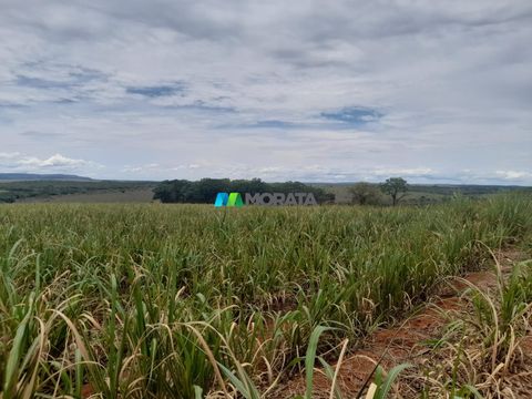 Foto Fazenda / Sítio / Chácara