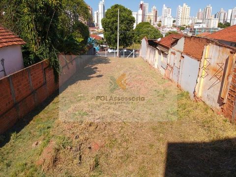 Foto Terreno