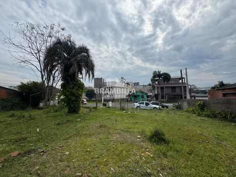 Foto Terreno