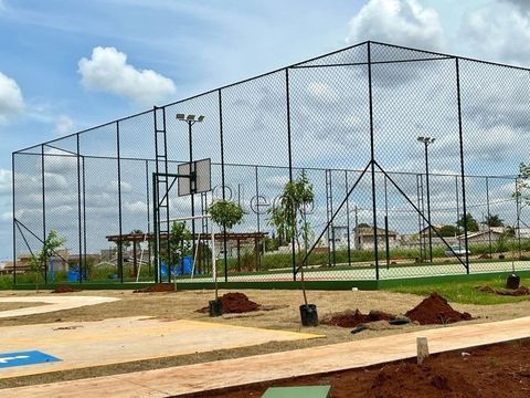 Foto Terreno