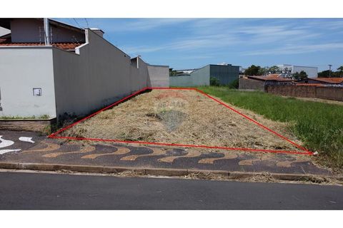 Foto Terreno